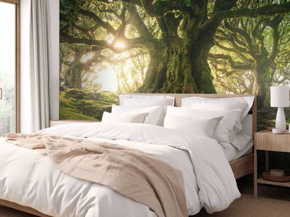 Forêt Enchantée au Soleil