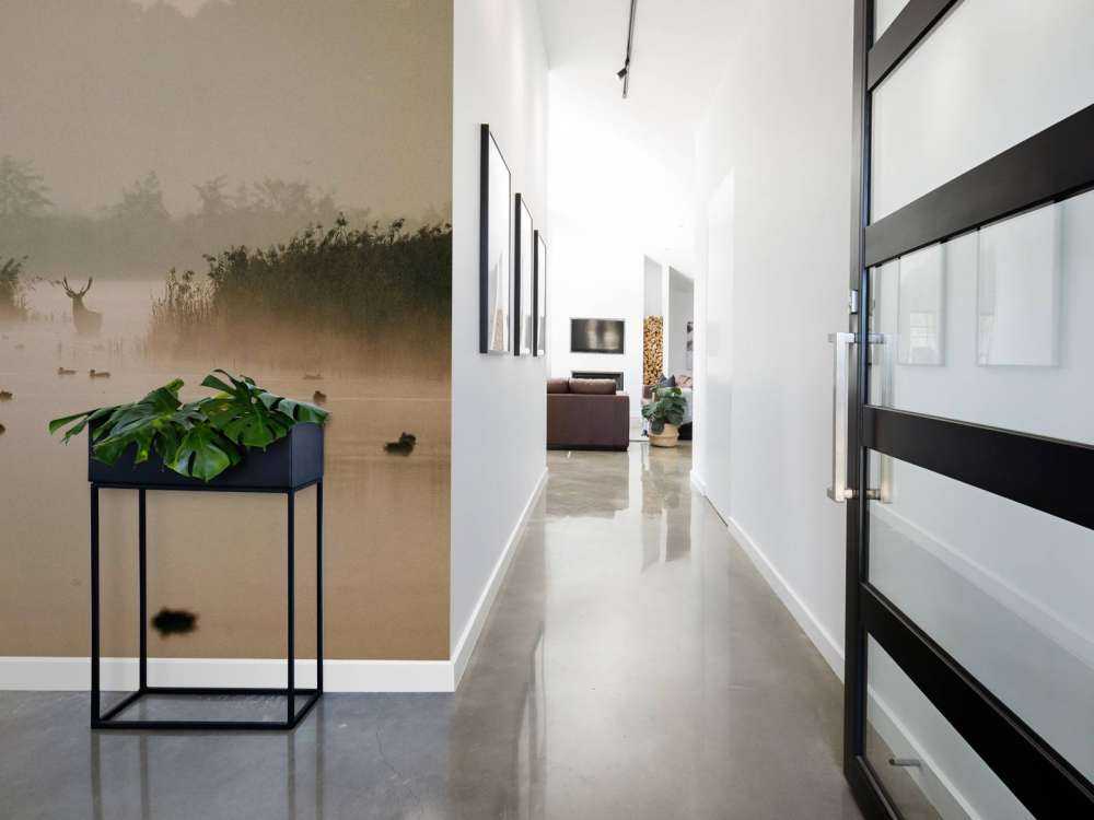 Hert dans un paysage aquatique brumeux