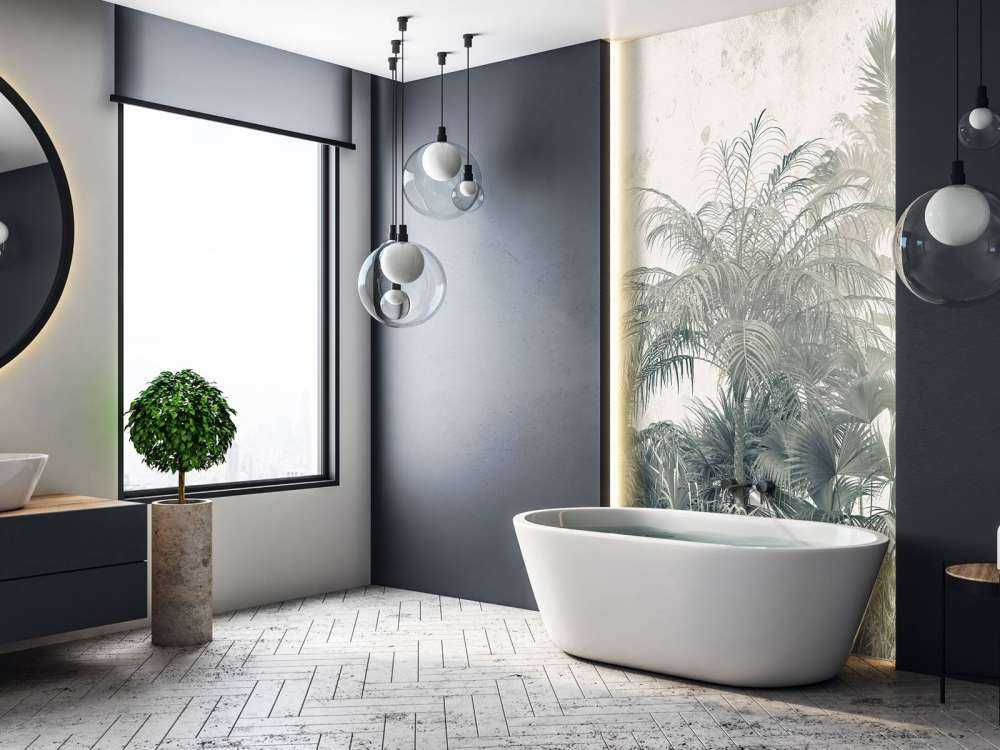 Forêt tropicale mystique