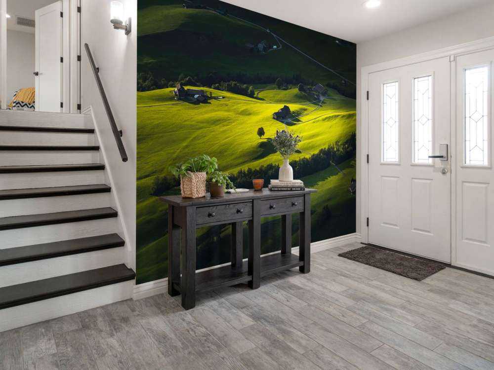 Collines vallonnées à la lumière du soir.