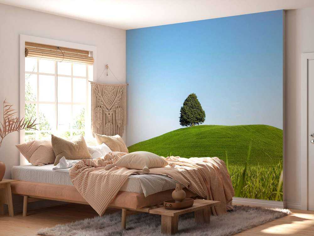 Arbre solitaire sur une colline verte