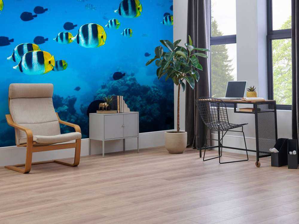 Poissons de récif tropicaux dans l'eau bleu clair