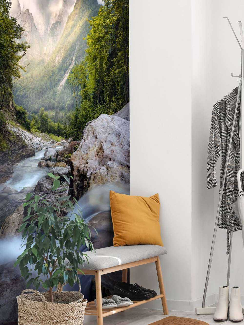 Bergstroom dans la nature