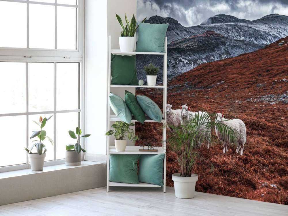 Moutons dans des montagnes rousses