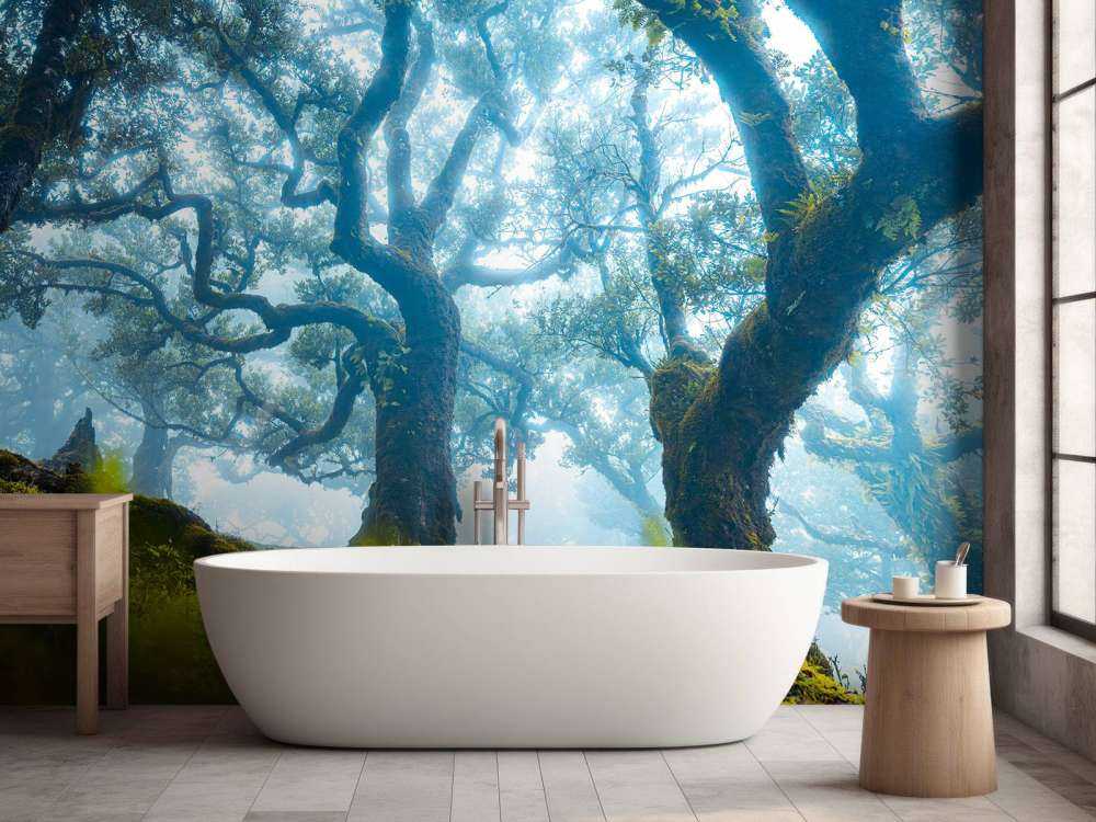 Forêt enchantée dans la brume du matin.