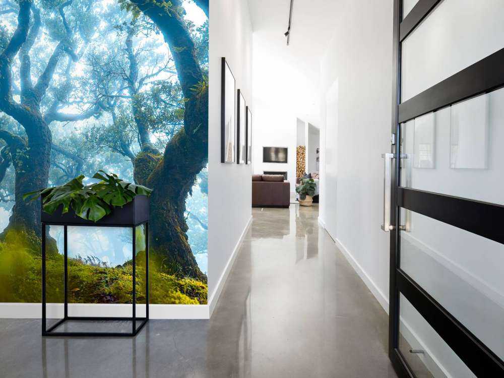 Forêt enchantée dans la brume du matin.