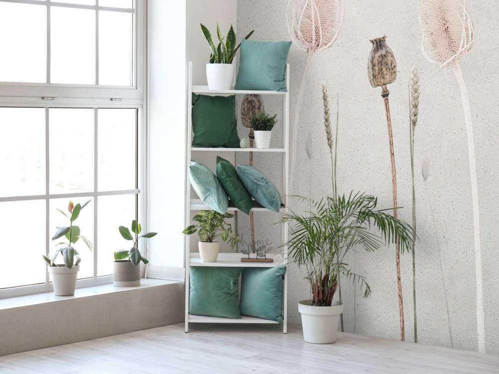 Paix des champs Texture