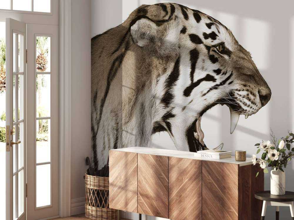 Tigre rugissant blanc