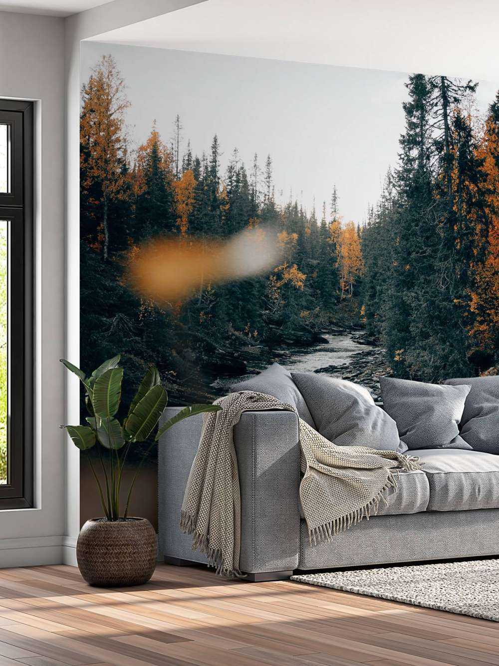 Forêt d'automne enchantée