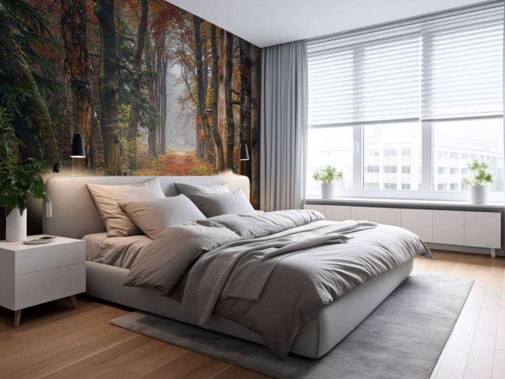 Chemin forestier avec de vieux arbres