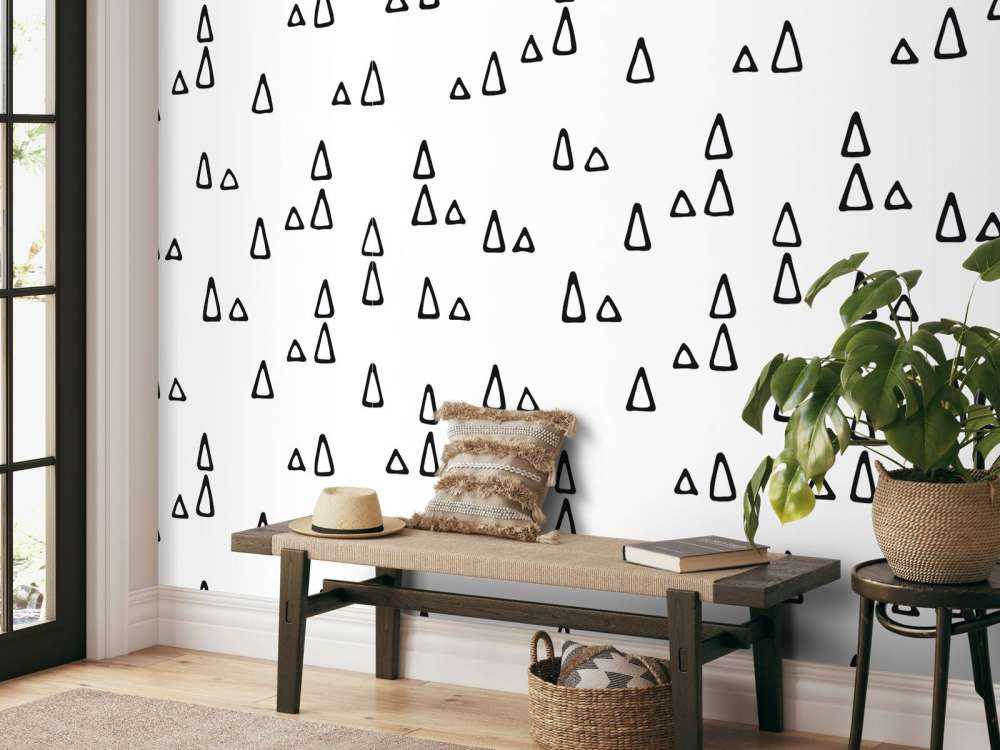 Triangles noir et blanc