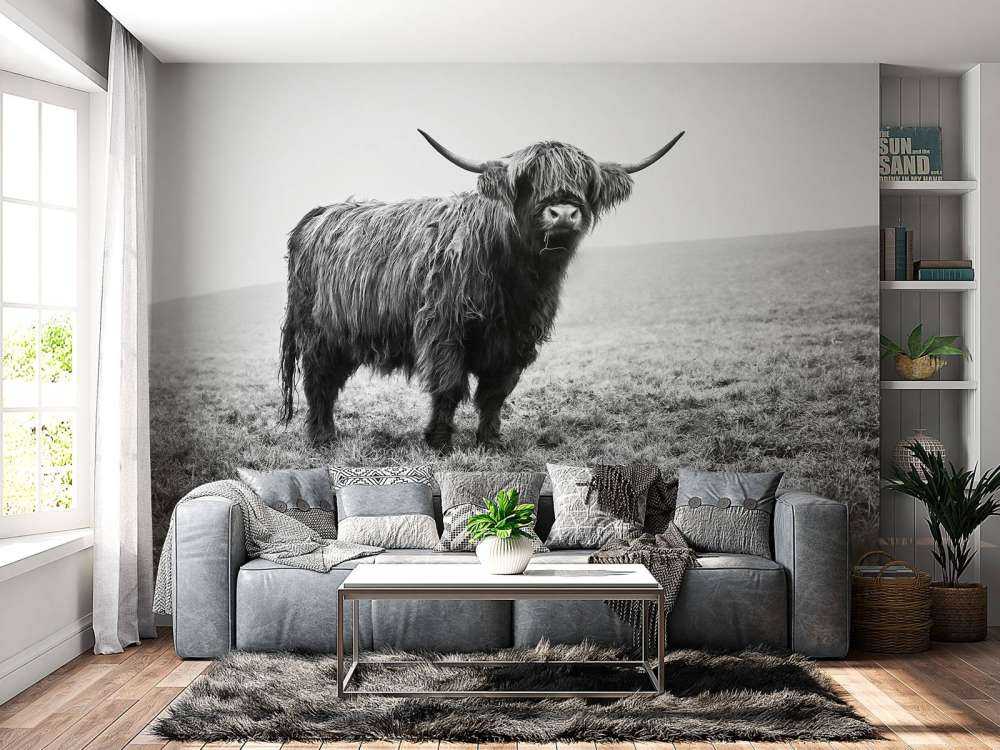 Le Highland écossais dans l'herbe