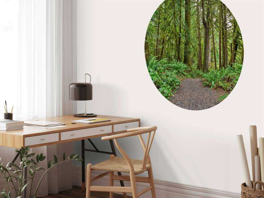 Sentier en pierres à travers la forêt