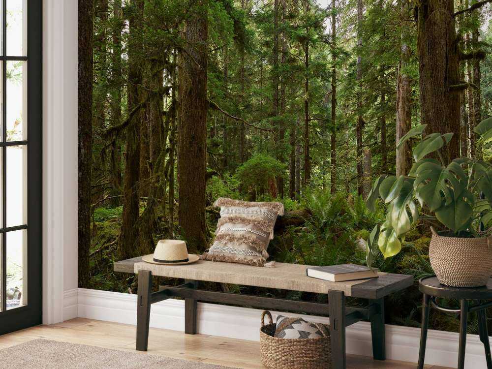 Forêt verte sauvage