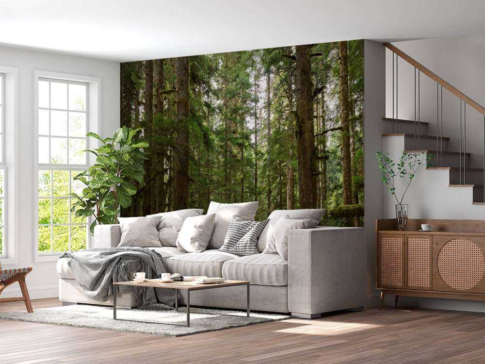 Forêt verte sauvage