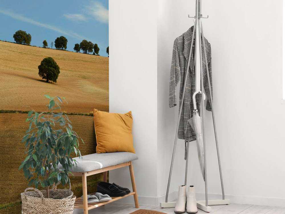 Les arbres dans le paysage espagnol