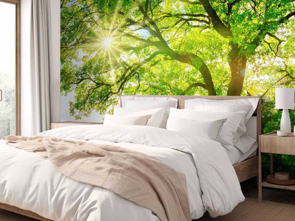 Arbre à rayons de soleil