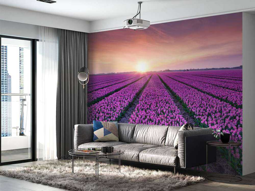 Champ de tulipes au lever du soleil