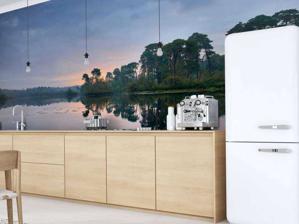 Reflets de la forêt dans l'eau au soleil levant