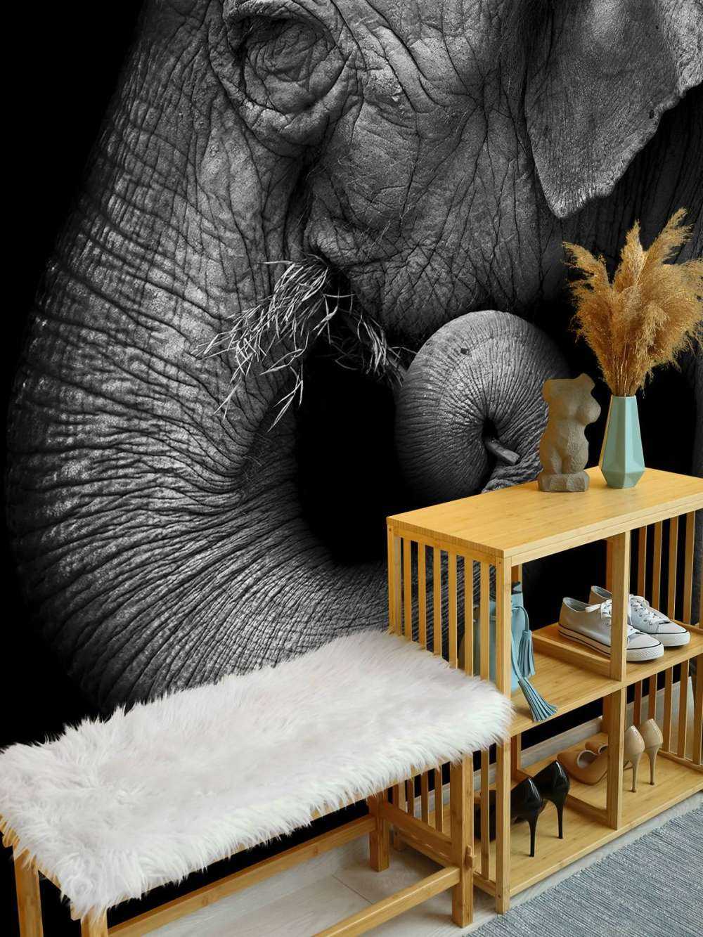 Portrait d'éléphant