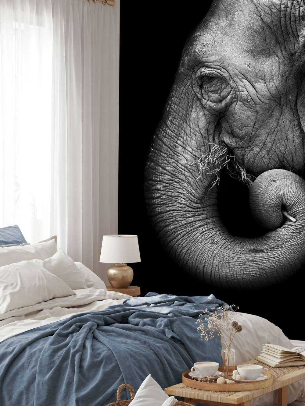 Portrait d'éléphant