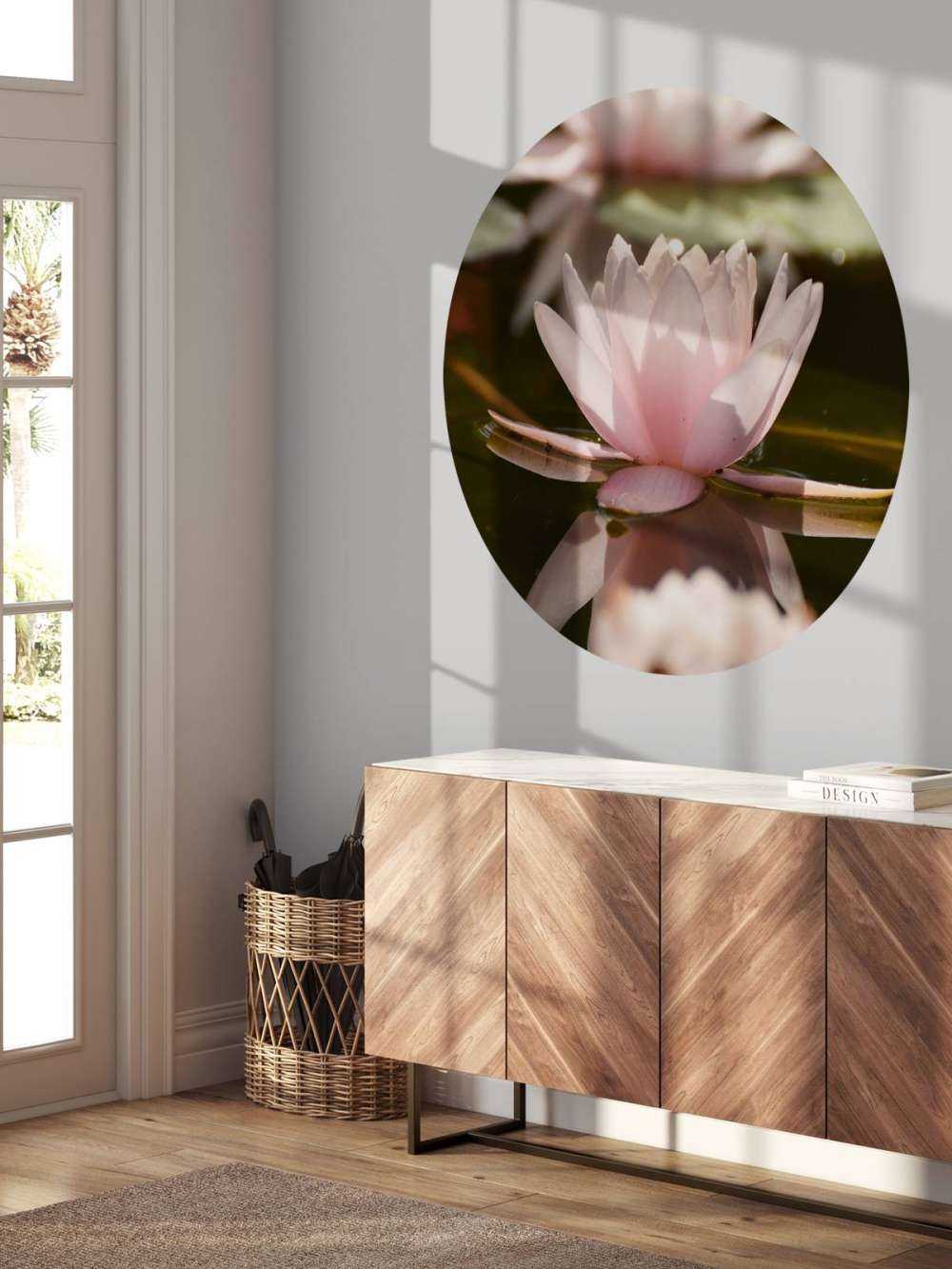 Fleur de lotus dans l'eau