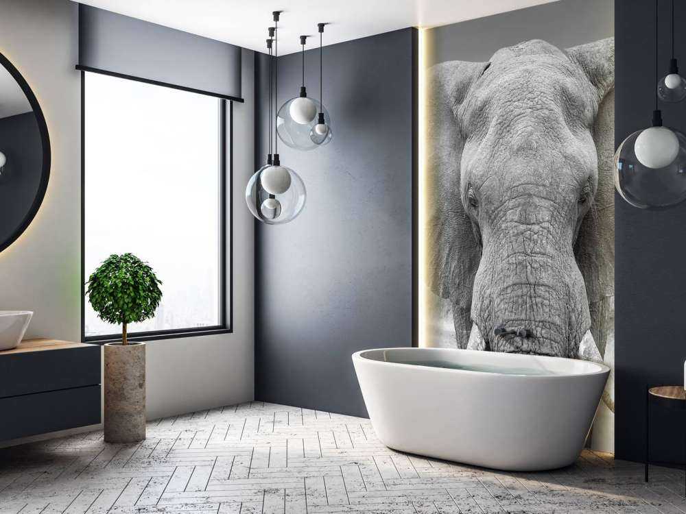L'éléphant en noir et blanc