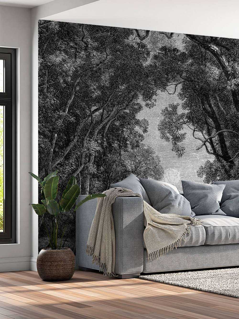 Une vieille rivière dans la jungle