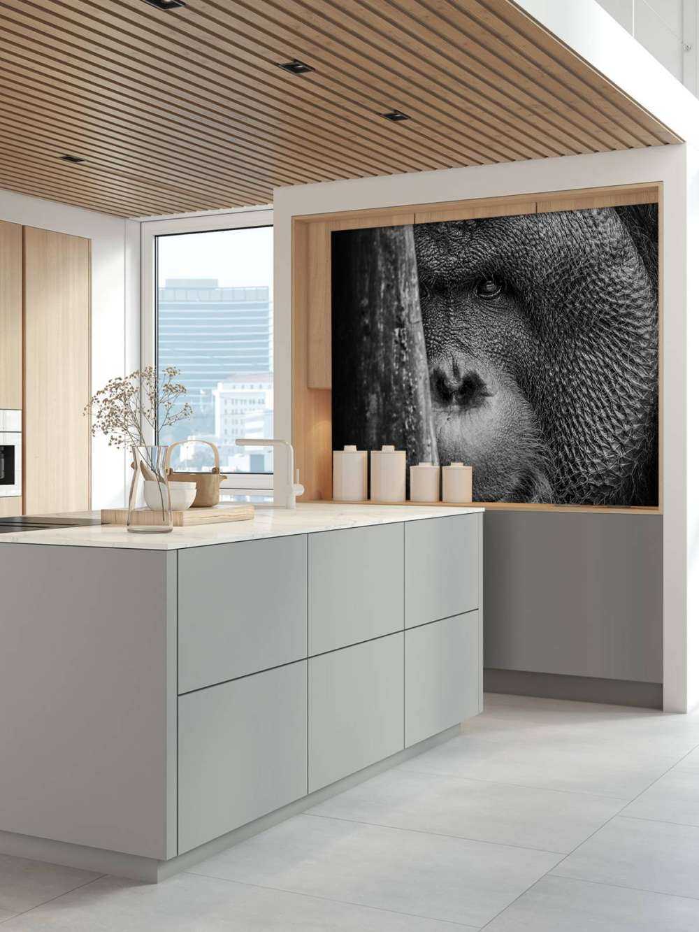 Orang-outan noir et blanc