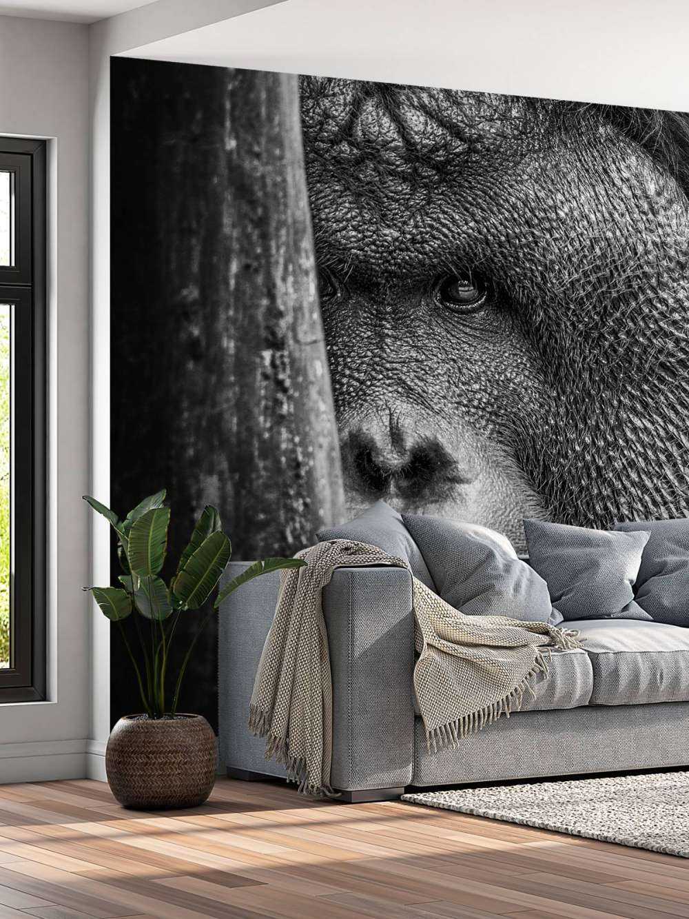 Orang-outan noir et blanc