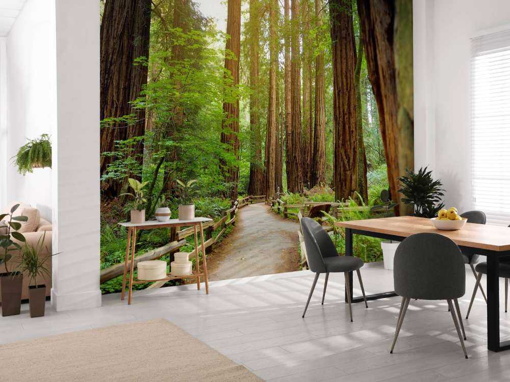 De grands arbres dans un parc