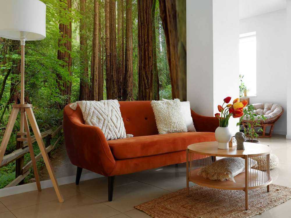 De grands arbres dans un parc