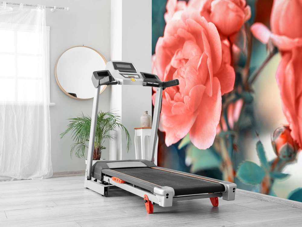 Rameau de roses sans branches