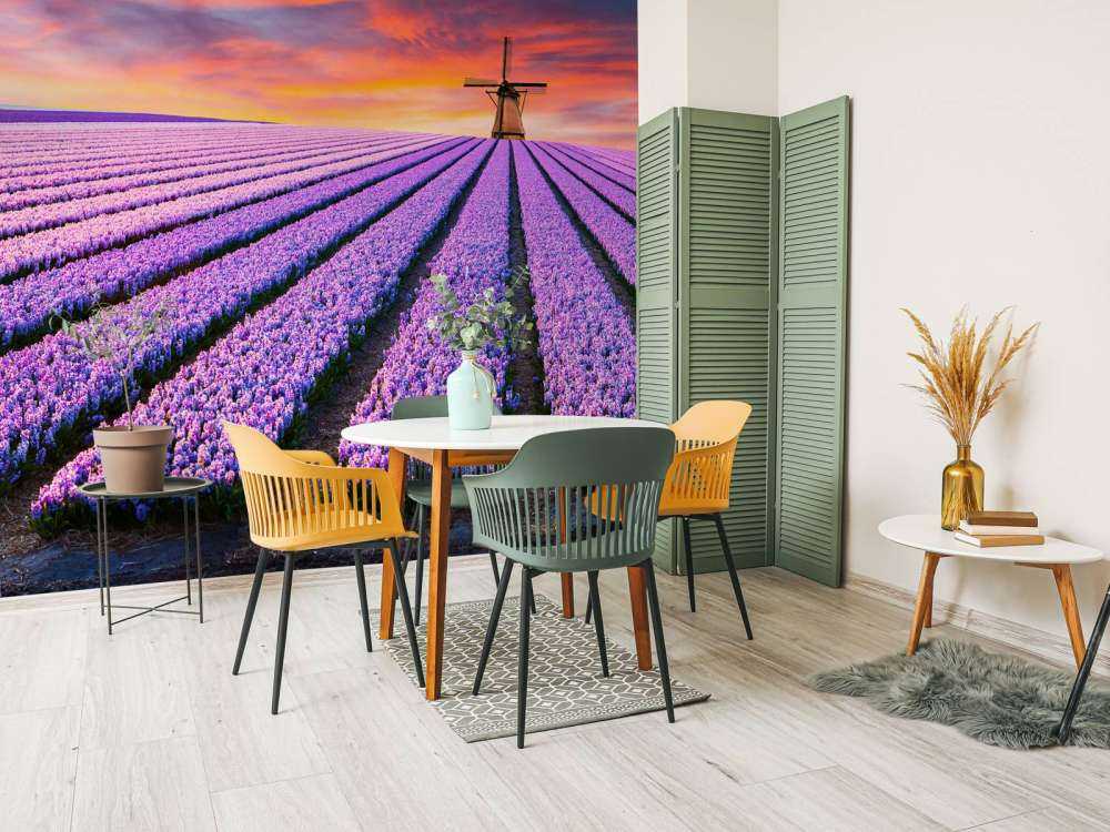 Muscari bleus