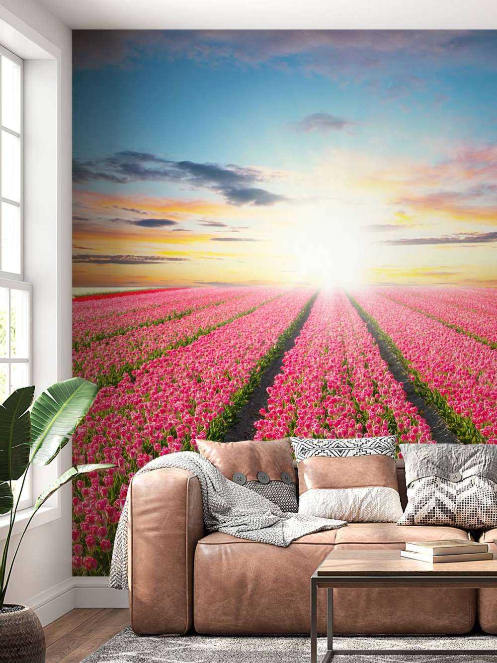 Tulipes avec le soleil levant