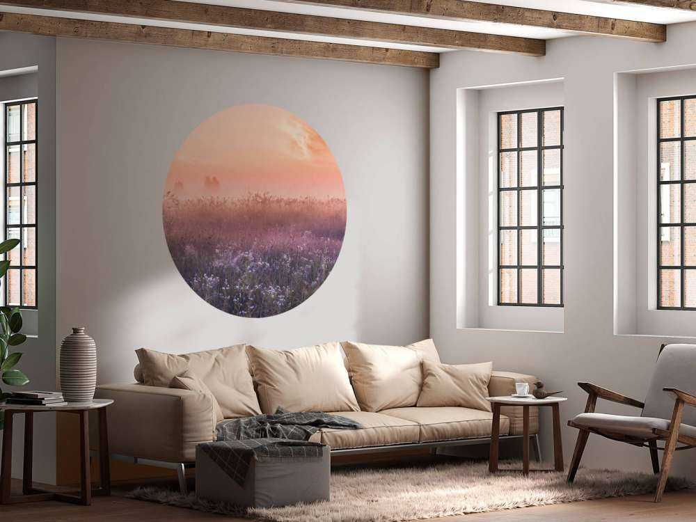 Champ avec brume du matin