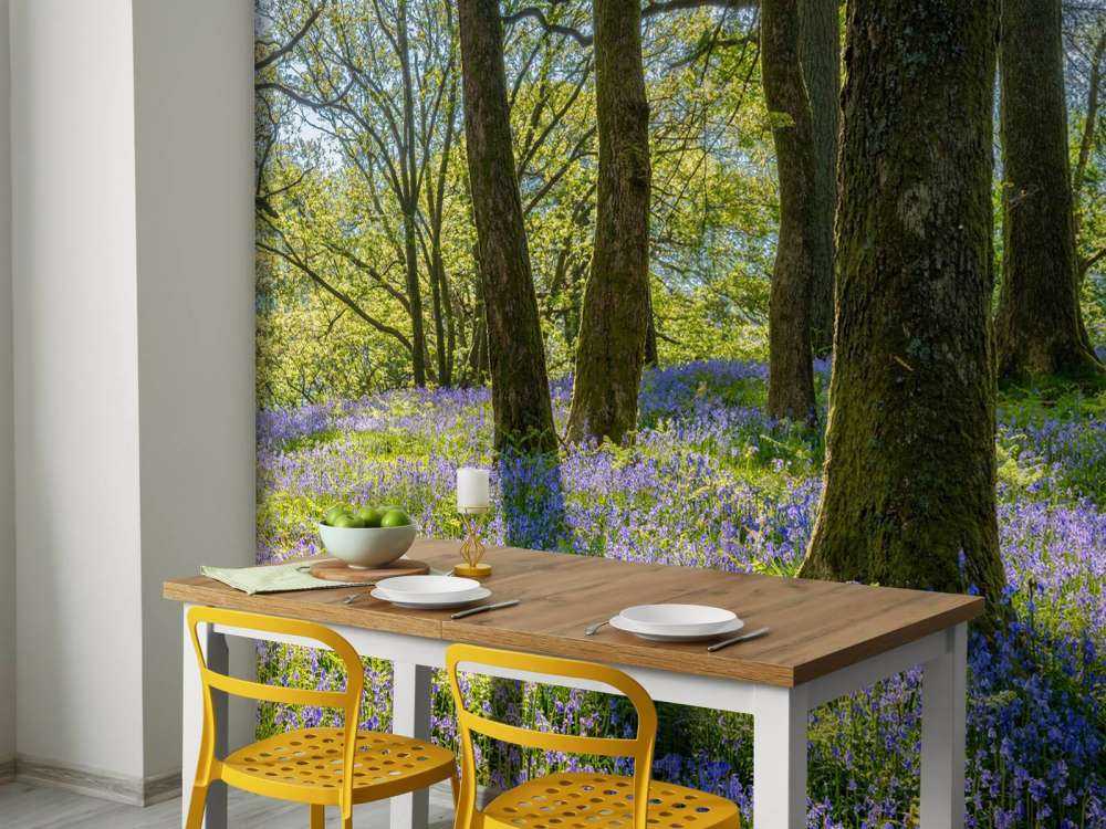 Panorama printanier en forêt