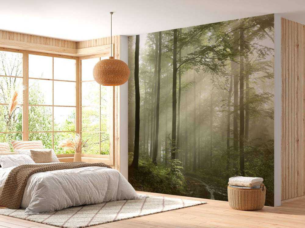 La forêt verte dans le brouillard