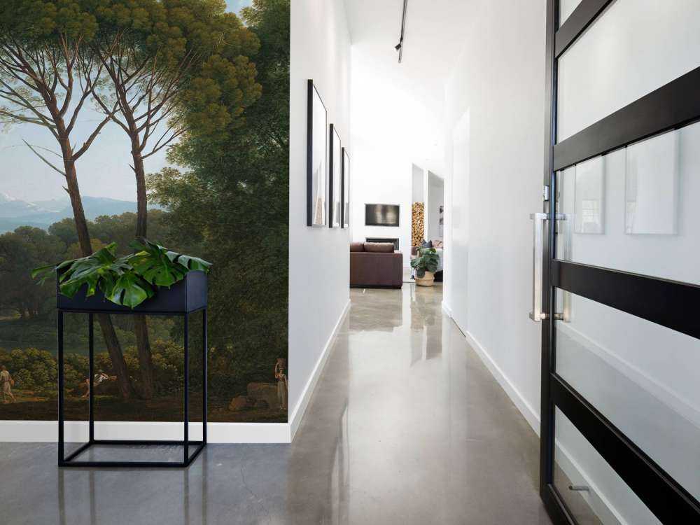 Paysage italien avec des pins