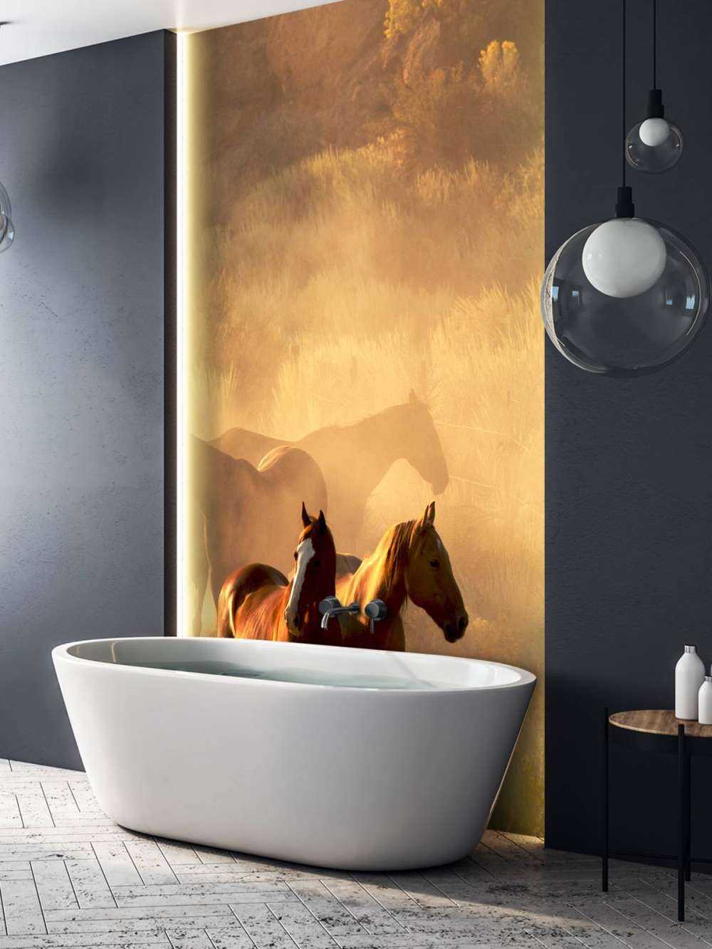 Chevaux au coucher du soleil