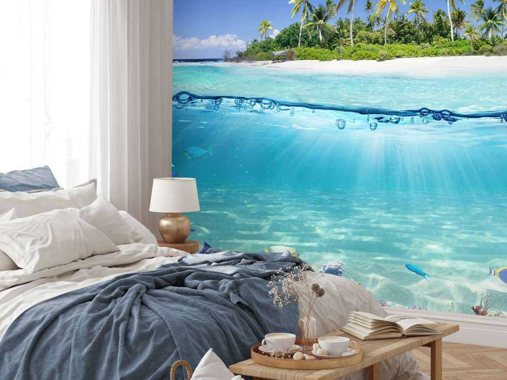 Île tropicale et récif corallien