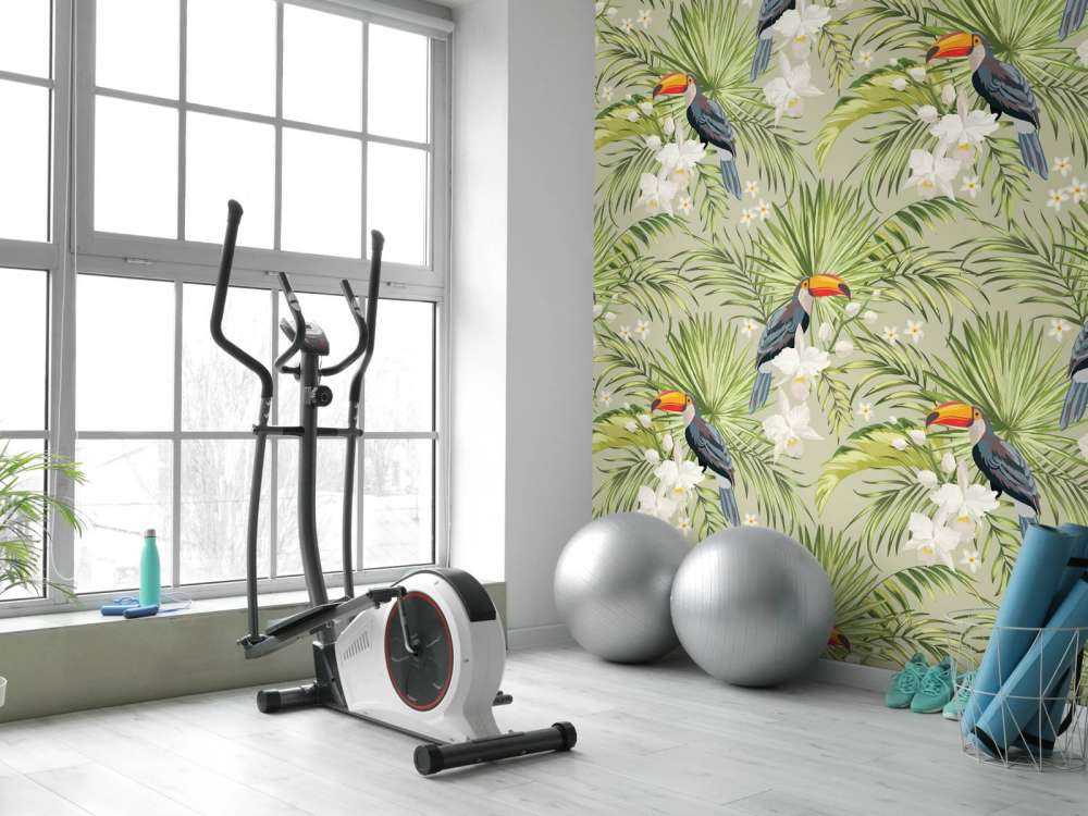 Toucan dans la jungle