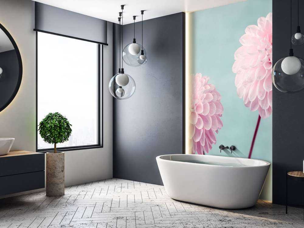 Deux fleurs de Dahlia