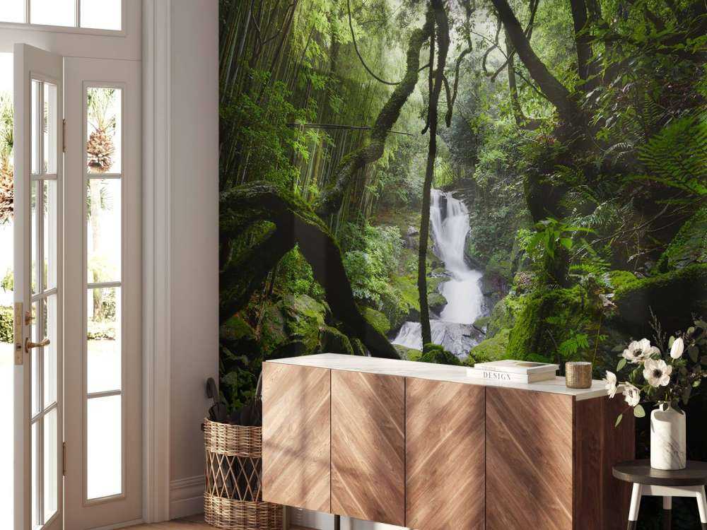 Chute d'eau entourée d'arbres