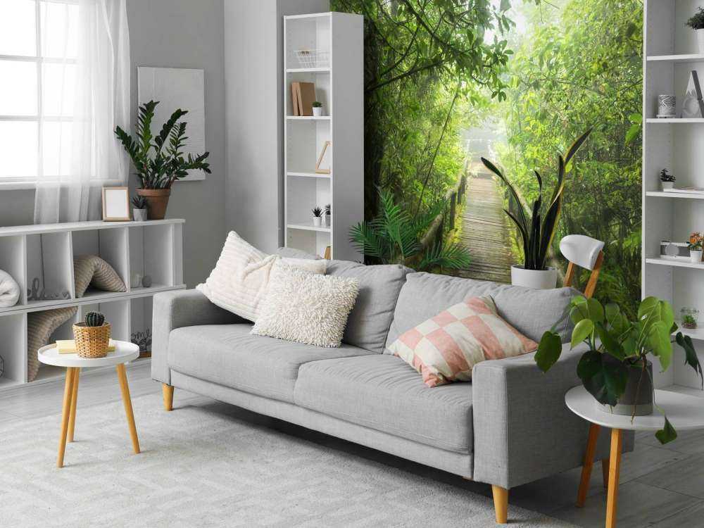 Jungle verte et brumeuse