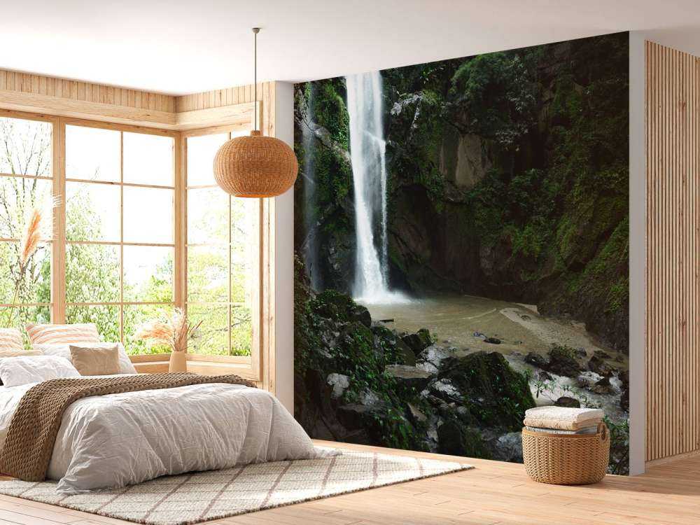 Chute d'eau dans une forêt profonde