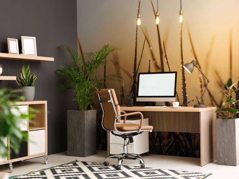 Herbe de rosée étincelante