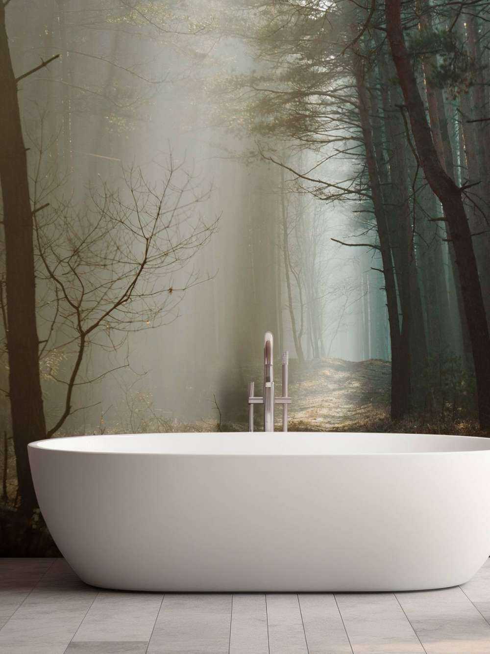 Rayons de lumière à travers la forêt