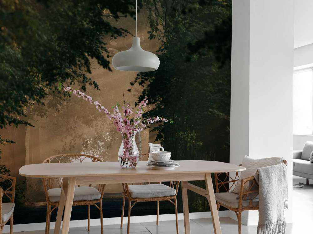 Lumière dorée dans la forêt