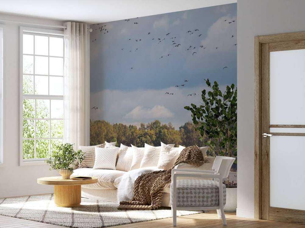 Vol au-dessus de l'eau